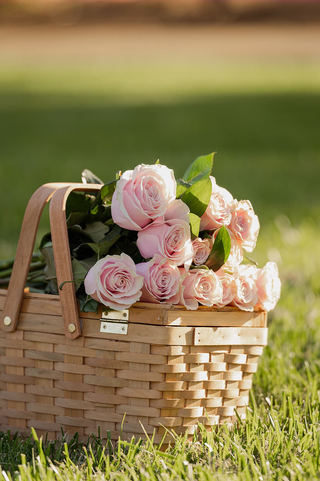 Family session, warm light