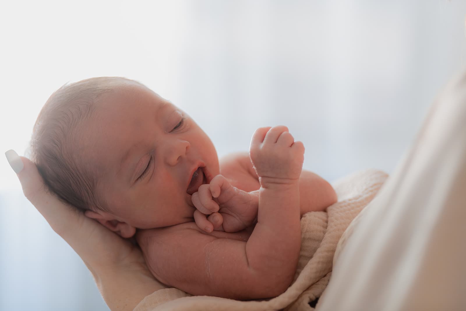 Family session, warm afternoon light